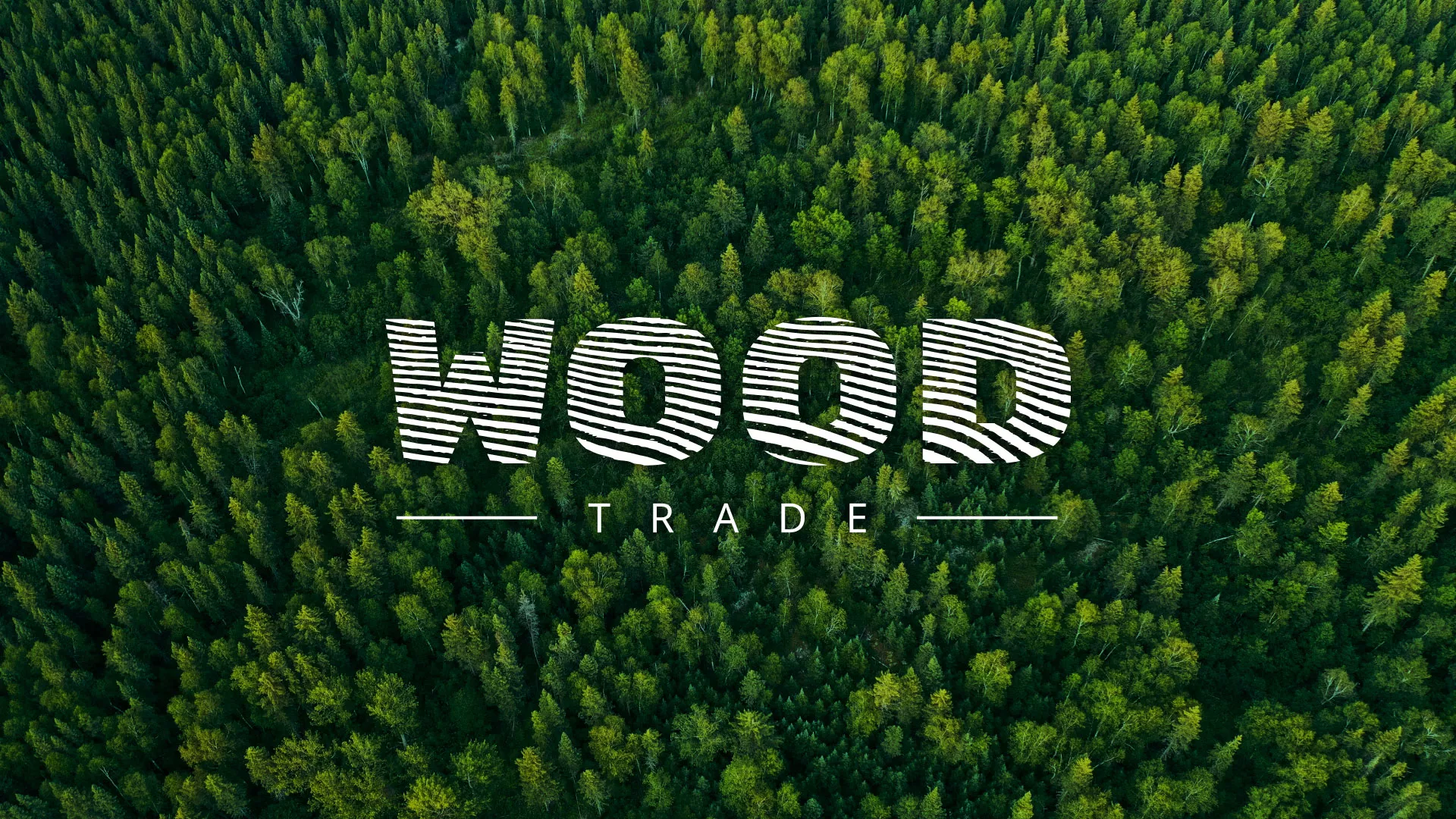 Разработка интернет-магазина компании «Wood Trade» в Чкаловском