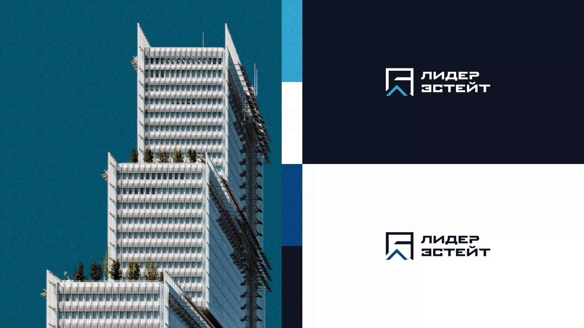 Разработка логотипа агентства недвижимости «Лидер Эстейт» в Чкаловском
