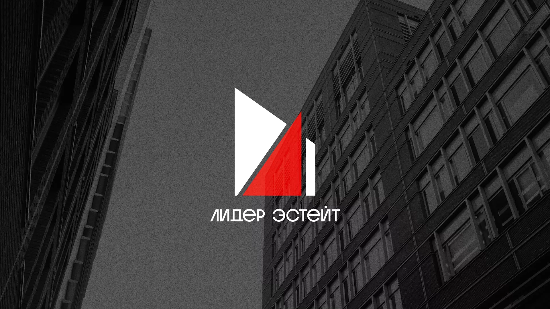 Сделали логотип для агентства недвижимости «Лидер Эстейт» в Чкаловском